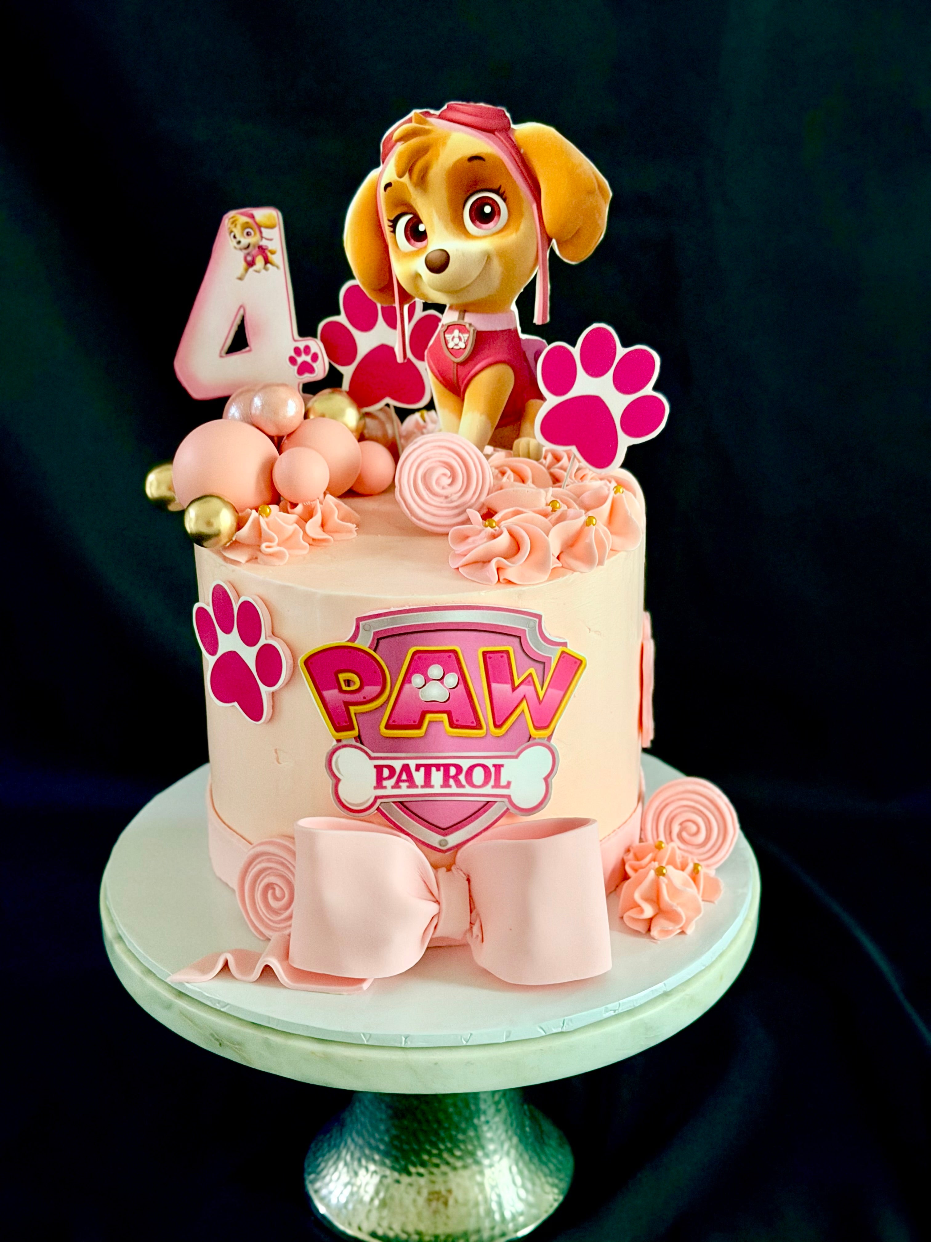 Skye Paw Patrol